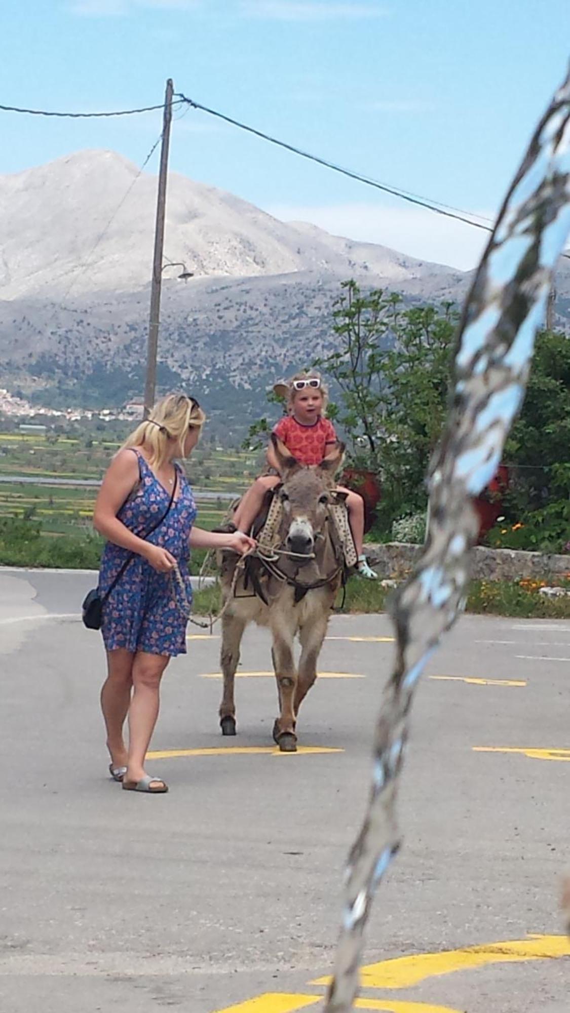 Dionysus Lasithi Plateau Hotel Magulász Kültér fotó