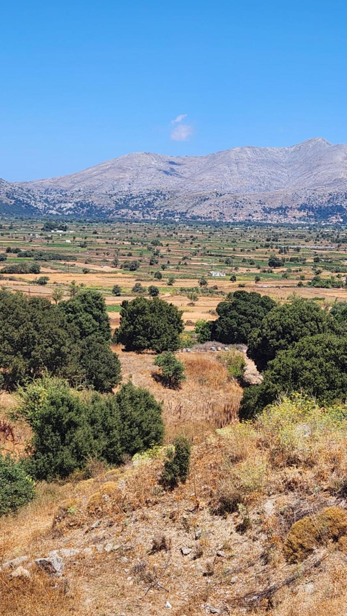 Dionysus Lasithi Plateau Magulász Kültér fotó
