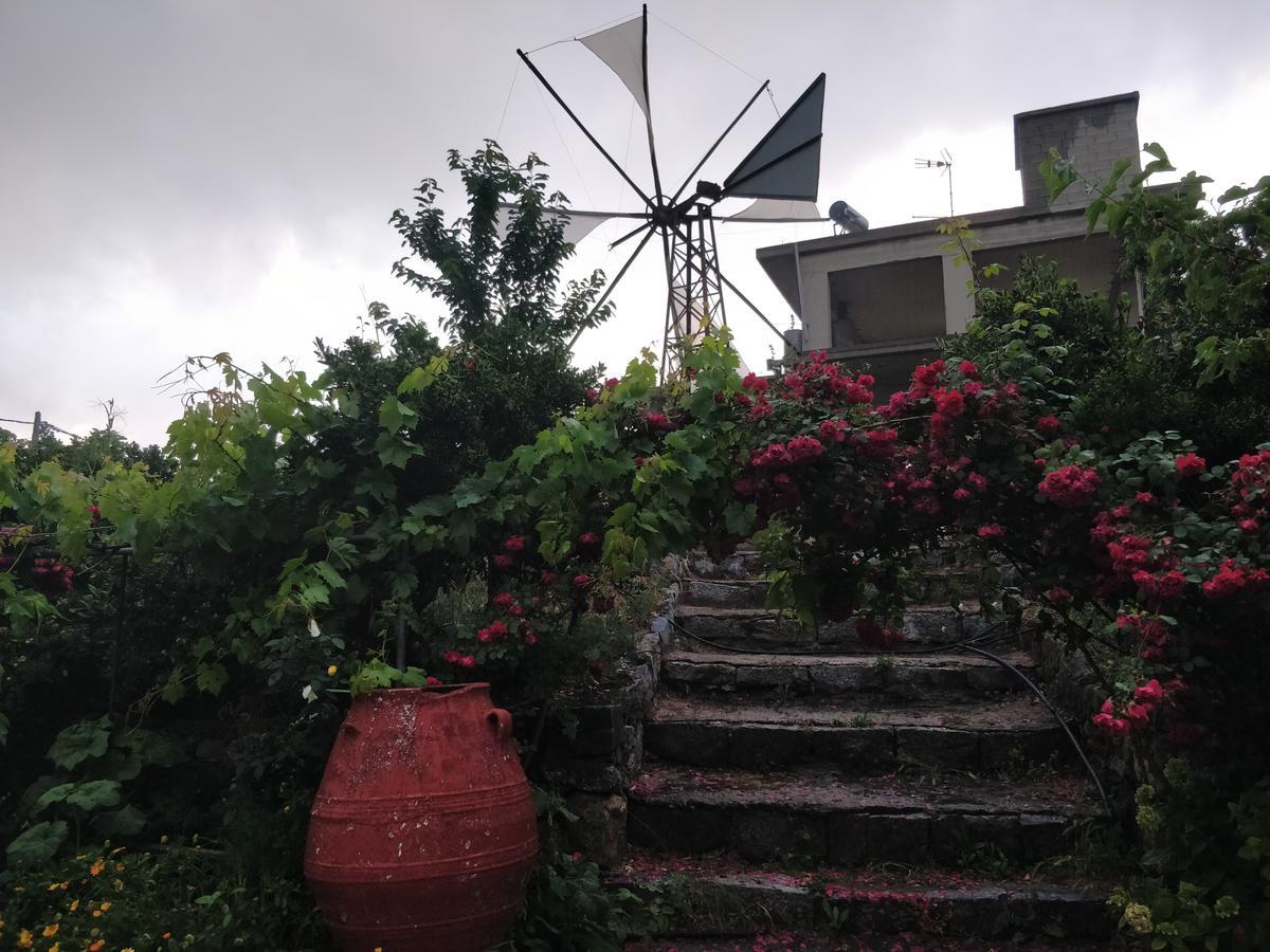 Dionysus Lasithi Plateau Hotel Magulász Kültér fotó